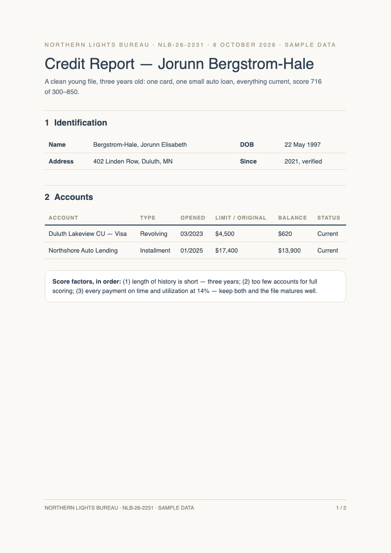 Nordic scandi clean credit report